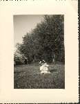 194 photo